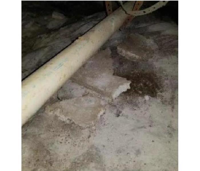 Dirty Crawlspace with Mold