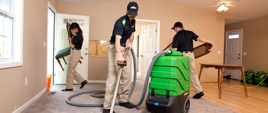 Tampa, FL cleaning services