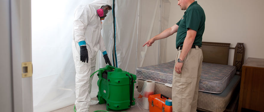 Tampa, FL mold removal process